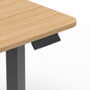 Single Motor Standing Automatic Office Table Ergonomic Sit Standing Height Adjustable Office Desks 