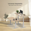 2AF3 Brushless Dual Motor Standing Desk Frame | Mid-Power, 140kg Capacity, Quiet & Fast Lift – Under $120