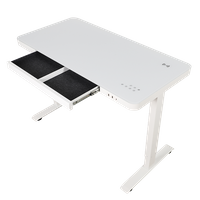 NT33-E4 NATE Best Seller Dual Motor Smart Electric Ergonomic Adjustable Height Standing Desk Table 