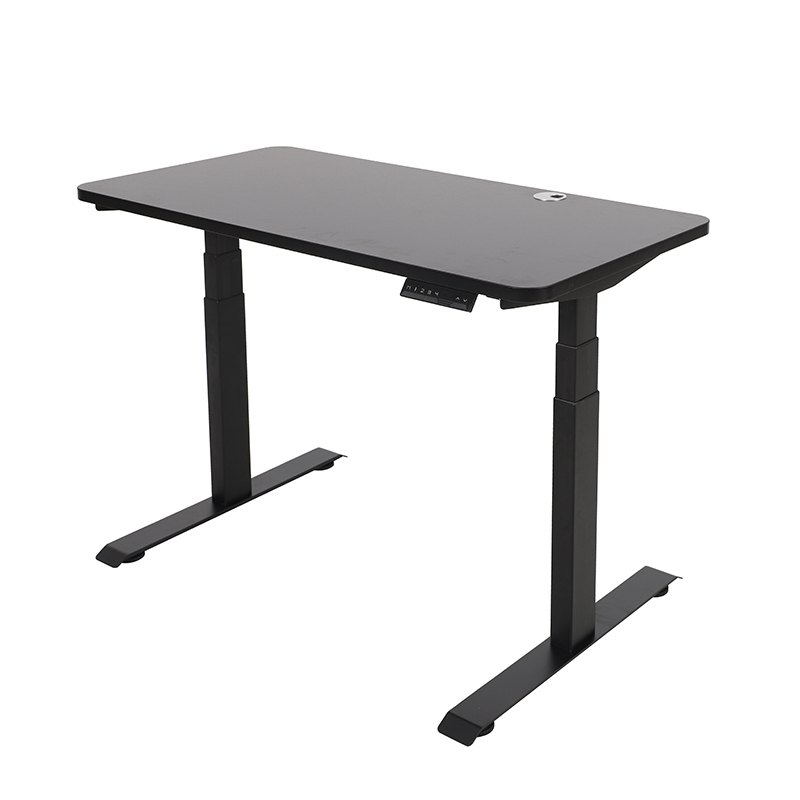 Ergonomic Office Furniture Electric Smart Dual Motor Sit Stand Adjustable Standing Desk