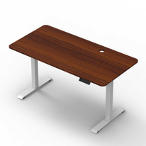 NT33-2SBBCF2 NATEDRIVE Standing Desk Frame,Computer Desk with Memory Smart Converter And USB Charging,Brushless Motor,super Economy Model