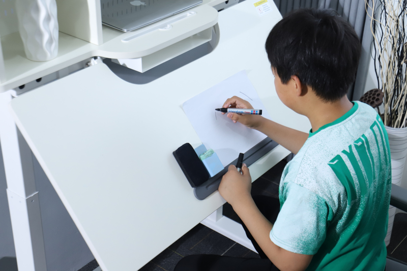 Wholesale Electronic Height Adjustable Study Desk with Shelving