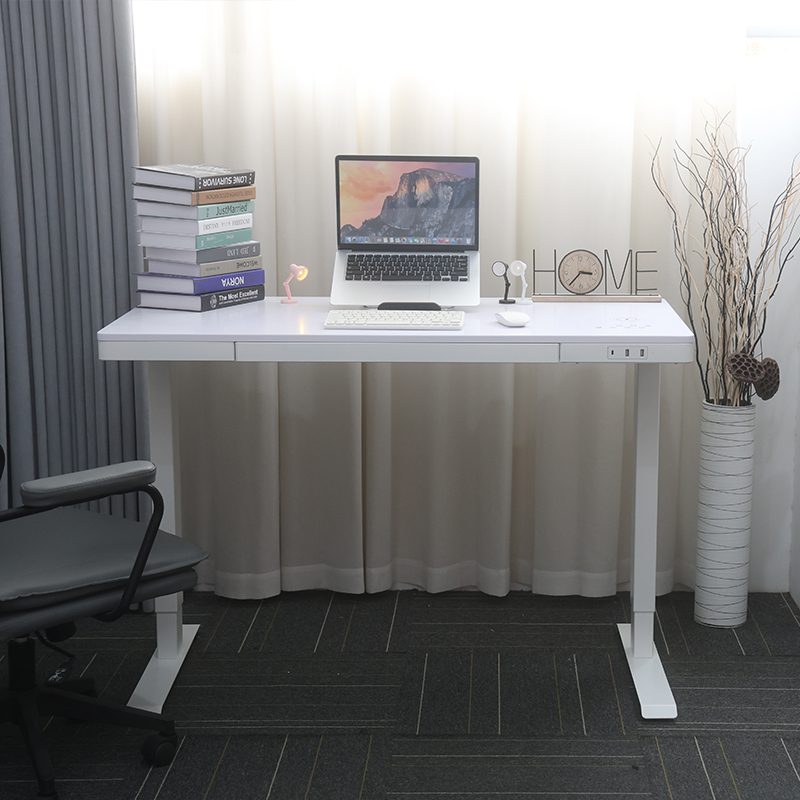 E4(A)Pro - 2JRF2 Dual Monitor Risers Desk, Customization Electric Table, Healthify Home Office Desk