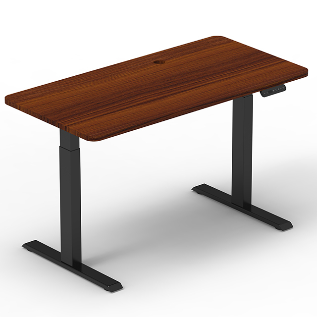  Large Load Capacity 120kg Stand Up Desk Adjustable Height Dual Motor Standing Desk Electric Desk Manufacturer