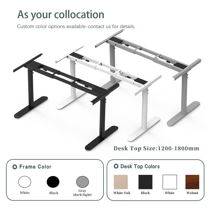 Color Collocation Options