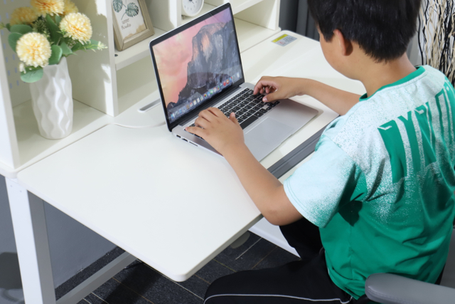 Wholesale Electronic Height Adjustable Study Desk with Shelving