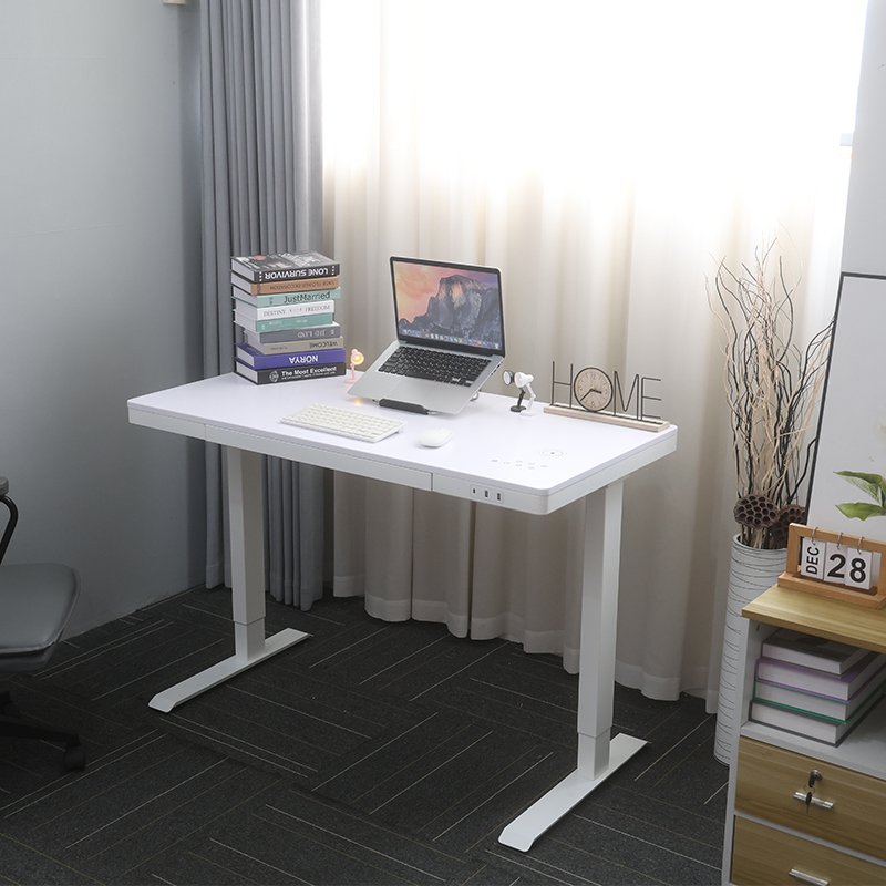 E4(A)Pro - 2JRF2 Dual Monitor Risers Desk, 120*60cm Customization Electric Table with Wireless Charging, USB Type, 3 Memory Buttons, Lock Button, Efficient Lifting, Healthify Home Office Desk