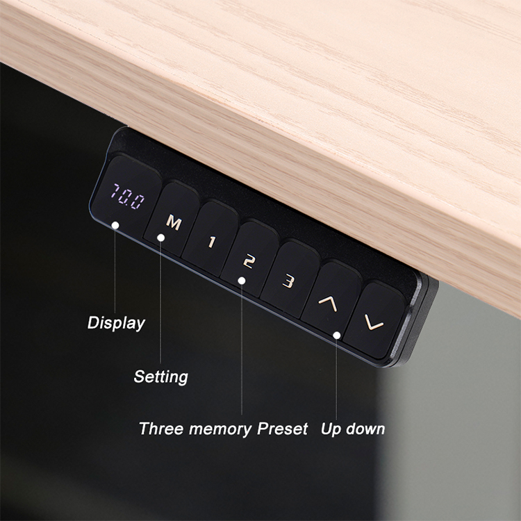Components of the 2SAB2(F) standing desk system, including the control box and motor, are highlighted against the desk frame.