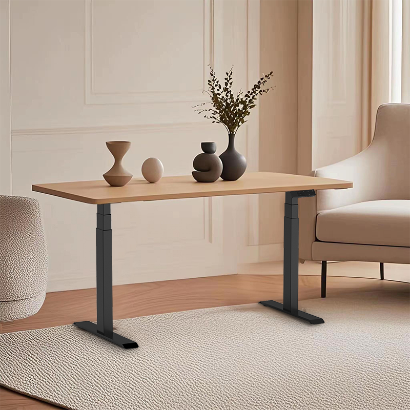 Customized Sit & Stand Desk Manufacturers | Buy 2AF3 D5 Motor Base Box 30 Speed | Wholesale & Bulk Order Discount