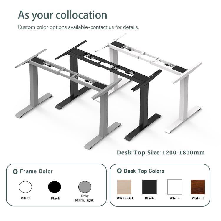 Color Collocation and Frame Options