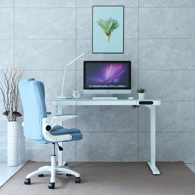 NT33-E4 Home Office Furniture Desks Dual Motor Modern Electric Height Adjustable Desk Ergonomic Glass Standing Desk Frame