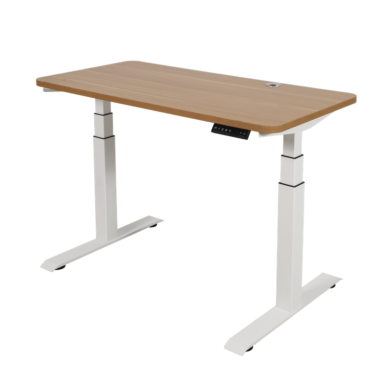 NT33-2B2 Standing Electric Desk Adjustable Sit Stand Desk Electric Stand Up Desk