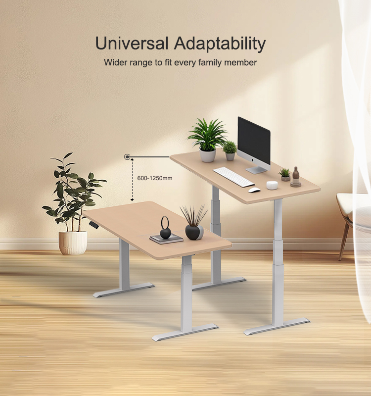 Illustration of the 2AF3 standing desk's universal adaptability, showing its height adjustment range from 600mm to 1250mm.