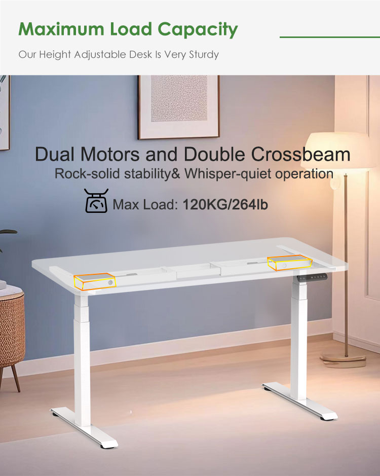 A white dual motor height adjustable desk highlighting its 120kg maximum load capacity and rock-solid stability.