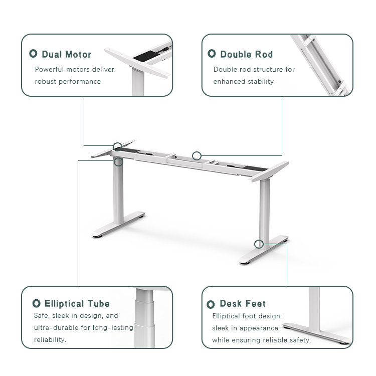 Dual Motor and Double Rod Structure Details
