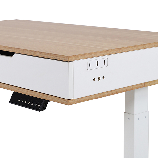 OEM / ODM Electric Standing Kids Desk with Drawers USB Ports Hub Outlets Sit Stand Desk Home Office Desk 
