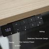 Economy Sit Stand Desk Frame, NATE Standing Desk Dual Monitor, 700mm Footbase, 120x60cm Option, Stable & Reliable | Low MOQ Wholesale