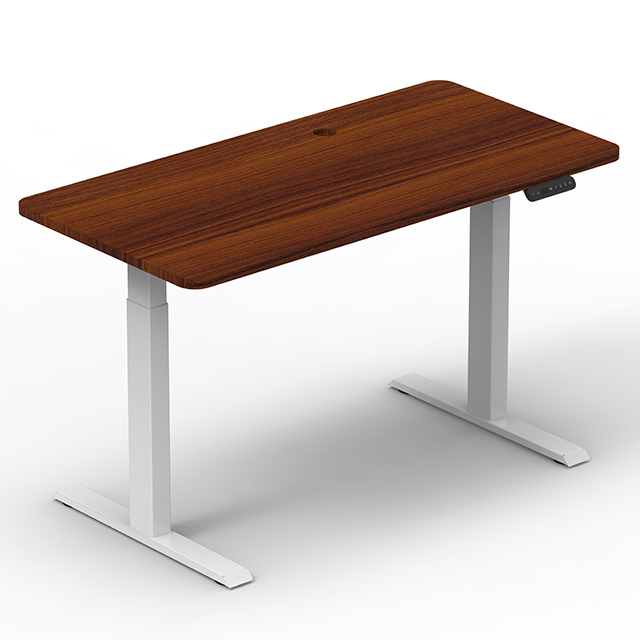  Large Load Capacity 120kg Stand Up Desk Adjustable Height Dual Motor Standing Desk Electric Desk Manufacturer