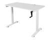 NT33-M1 Standing electric desk electric adjustable standing desk