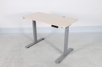 NT33-2A2 Best Selling Product Electric Office Furniture Intelligent Height Adjustable Stand Up Desk