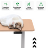 Cat lying on 2JRF2 height adjustable desk, illustrating smooth transition, eco-friendly materials, quiet operation, stable structure, and durable design