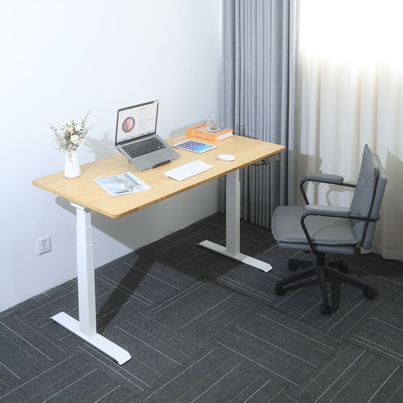 2AF3 D5 Height-adjustable desk legs only + Panel Actual scene photography