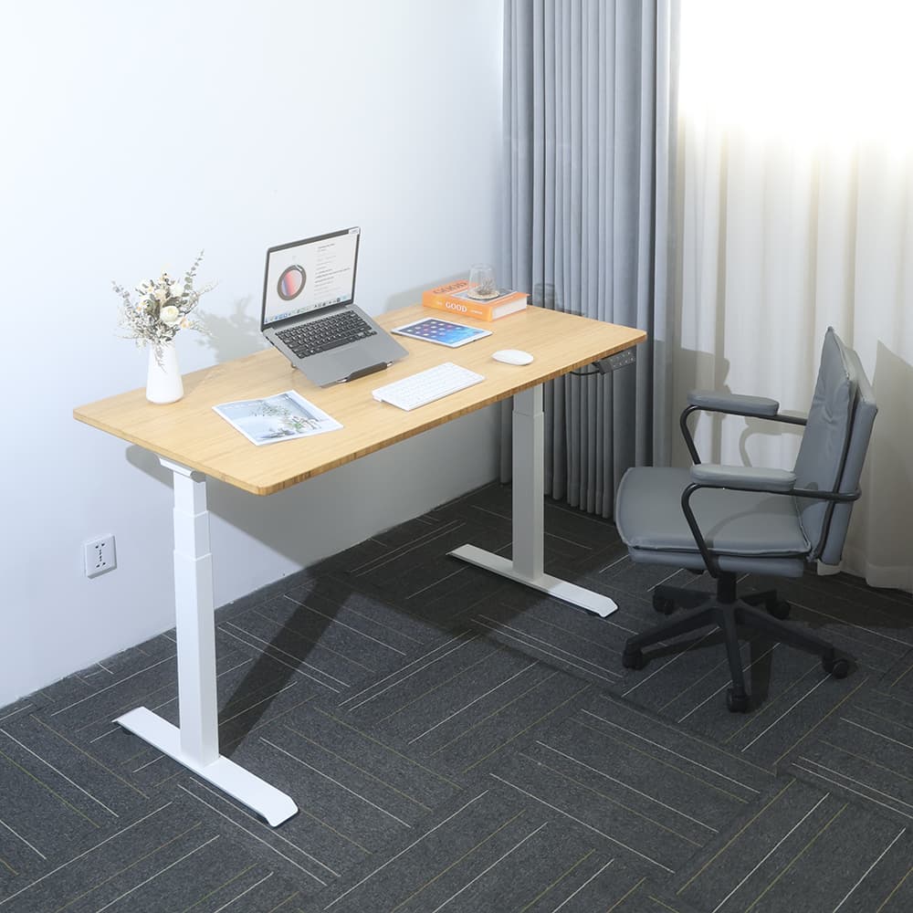 2AF3 D5 Height-adjustable desk legs only + Panel Actual scene photography