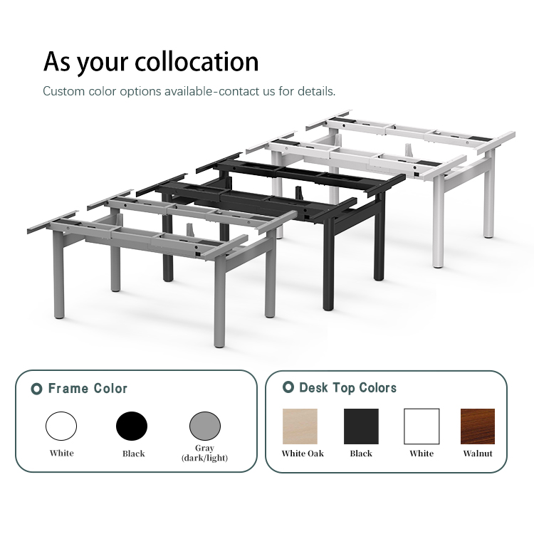 Color Collocation and Custom Options