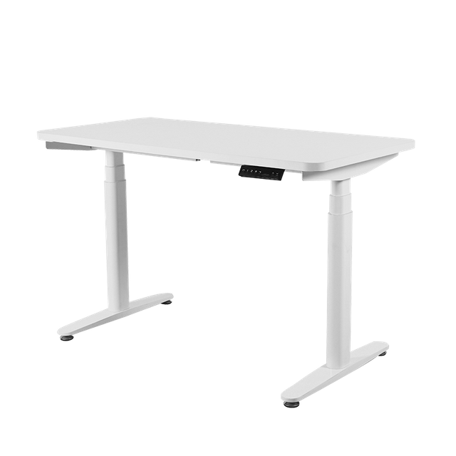 Adjustable Height Standing Desk Electric Stand Up Desk,Sit Stand Home Office Desk