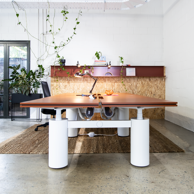 A group of people working together at the NATE NT33-8DF3 electric standing desks in a collaborative workspace, showing its practical application and the harmonious working atmosphere.