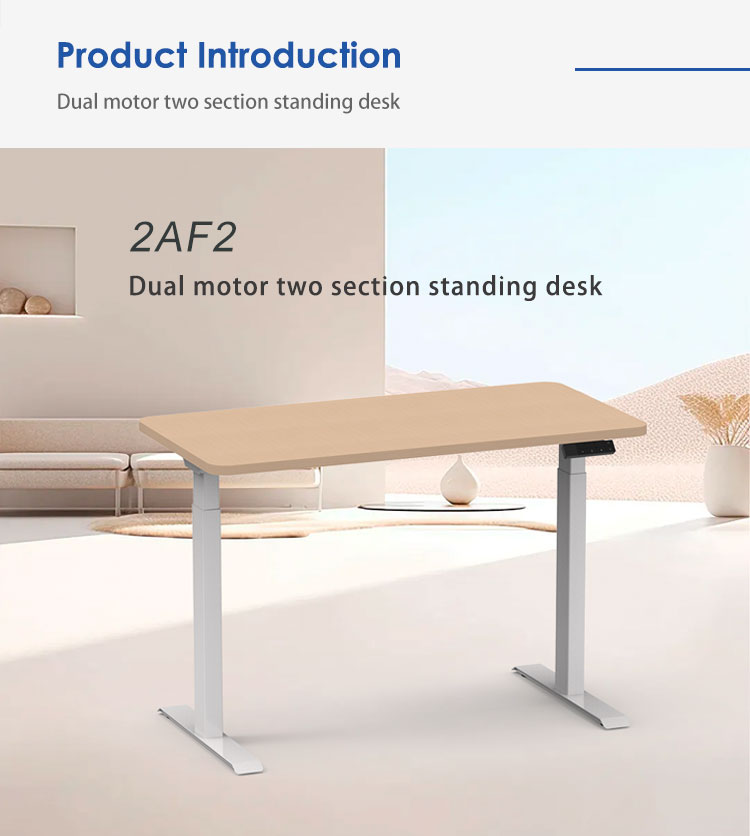 Dual motor system of the 2AF2 standing desk