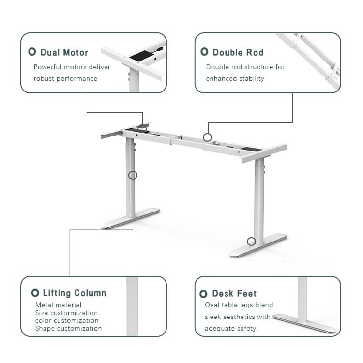Dual Motor and Double Rod Structure Details