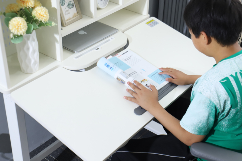Wholesale Electronic Height Adjustable Study Desk with Shelving