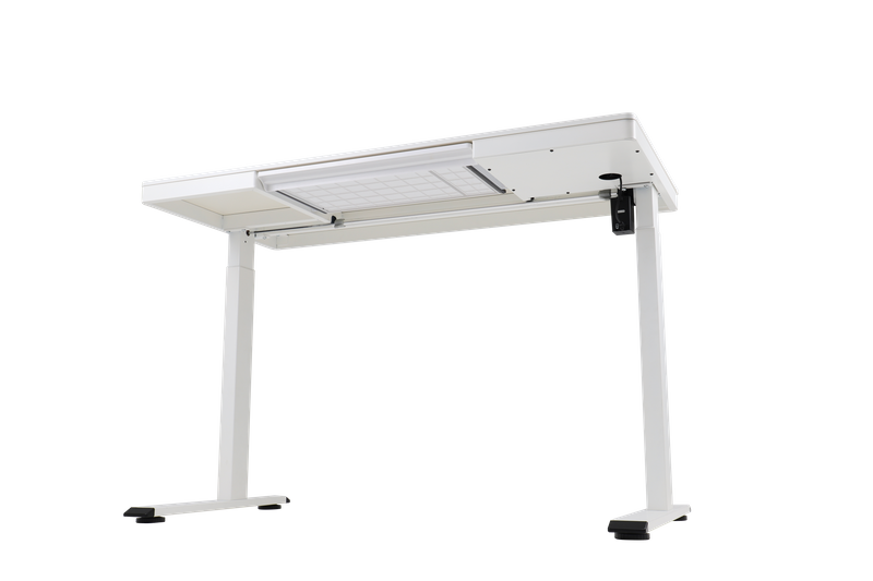 Wholesale Brushless Motor Wooden Standable Table (120×60cm), Sit-to-Stand Desk with Wireless Charging | Energy-Efficient Electronic Height Adjustment | OEM/ODM