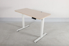NT33-2AR2 Standing electric desk electric adjustable standing desk