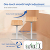 2AF2 Dual-Motor Electric Standing Desk – Standard 2-Stage Frame, Height Adjustable with Memory Presets & Anti-Collision Safety