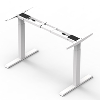  Large Load Capacity 120kg Stand Up Desk Adjustable Height Dual Motor Standing Desk Electric Desk Manufacturer