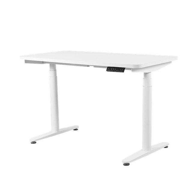 NT33-2DF3 Electric Height Adjustable Sit Stand Desk Ergonomic Furniture Smart Table