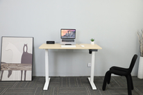 2SBCF2(D) Wholesale OEM ODM 2-Stage Brushless Motor Computer Home office Standing Table | NATE Ergonomic Electric Height Adjustable Sit Stand Desk Frame