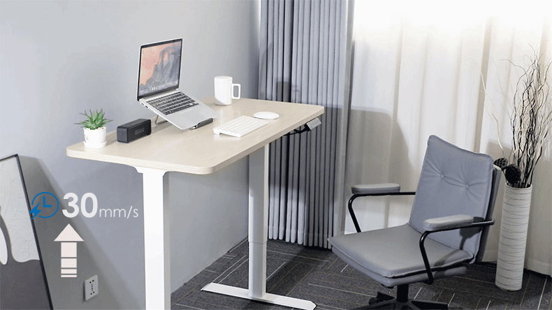 NATE 2JRF2(A)-D5-Manufacture and supply high - quality brushless motor standing desks through ODM and OEM models 