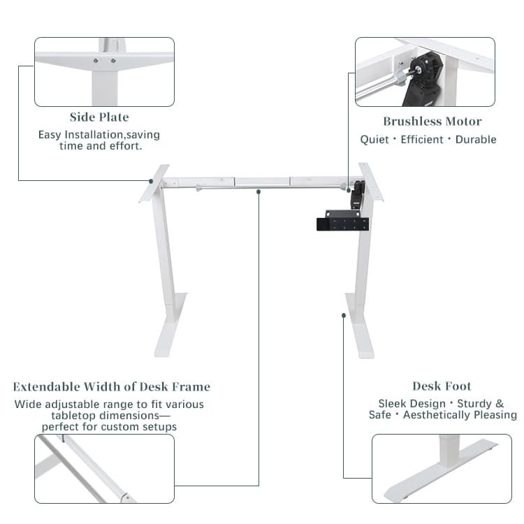Detailed features of 2SABRF2(A) standing desk frame: easy installation side plate, brushless motor, extendable width, and sturdy desk foot.