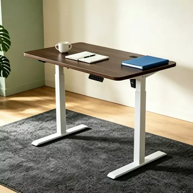 NATE 2SBCF2(E) High-Load Single Brushless Motor Standing Desk Frame