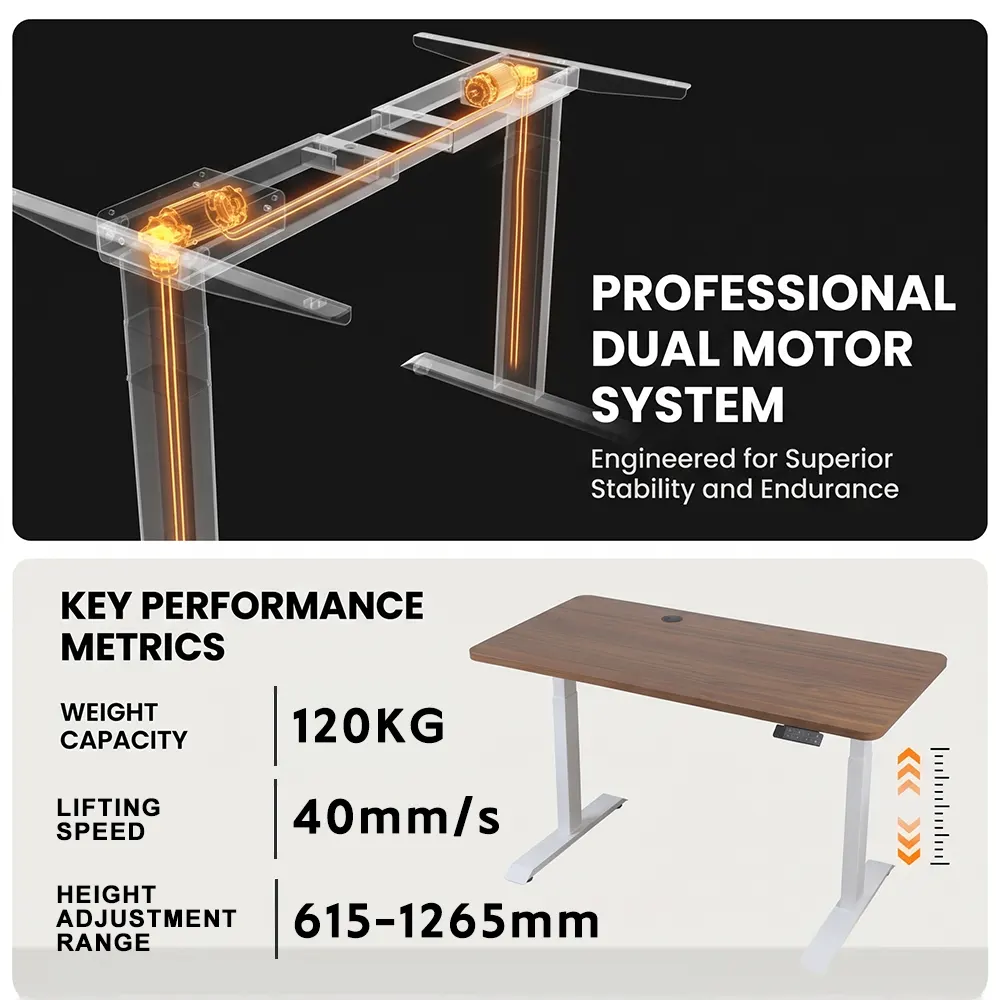 NT33-2AF3-KZF1 professional dual motor system